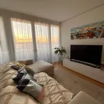 Nice View Basel Flat By Art Basel